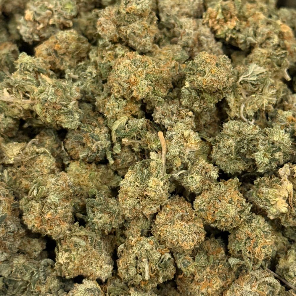 gg5