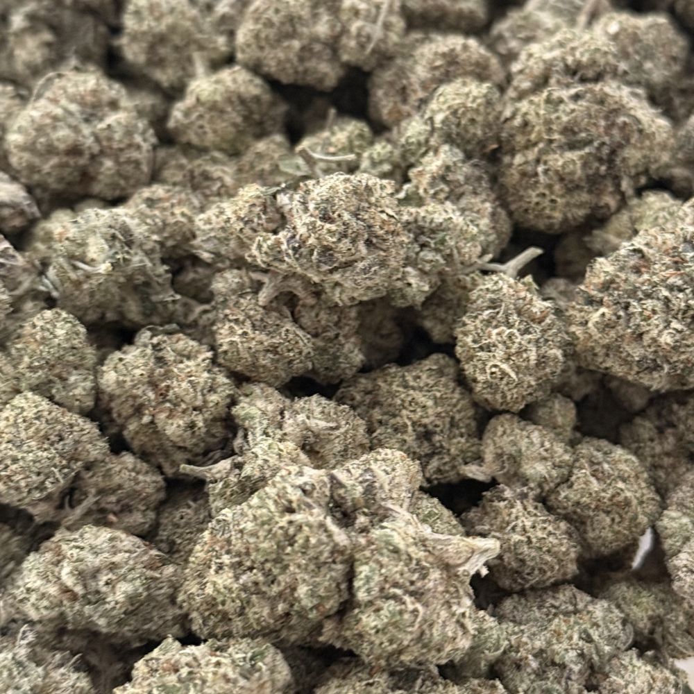 sticky 100