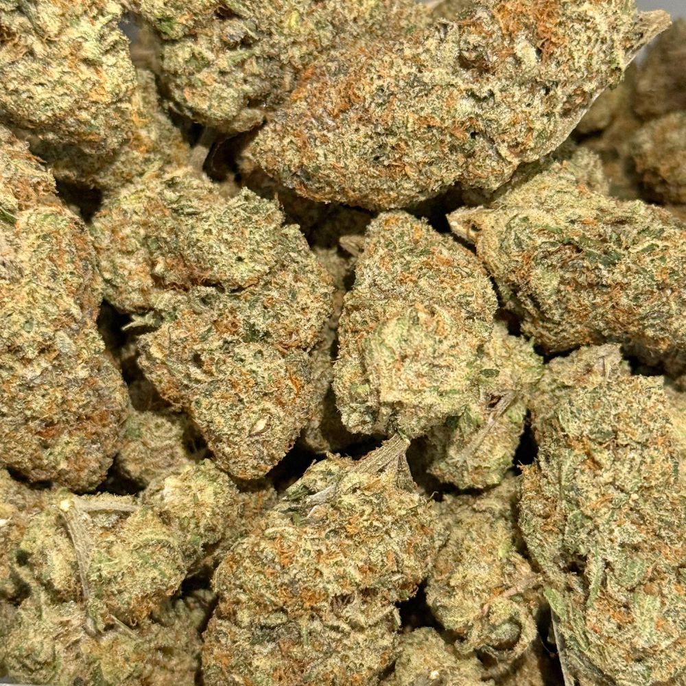 lemon (2)