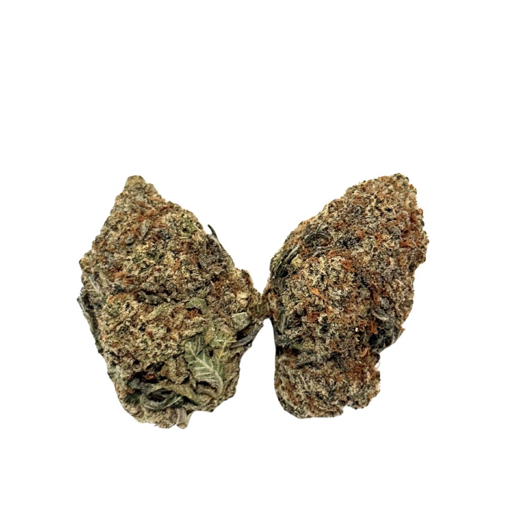 gorilla snot 100 (2)